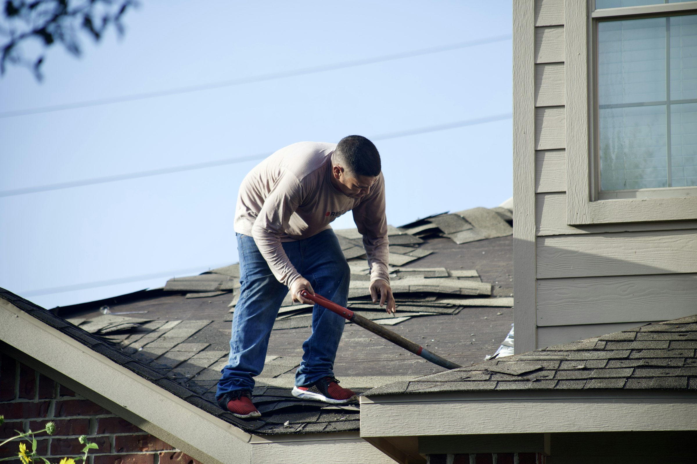 Worker prying old asphalt shingles off a pitched residential roof during a tear-off (stock photo)